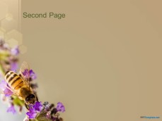 how to get rid of openoffice impress background how to get rid of openoffice impress background