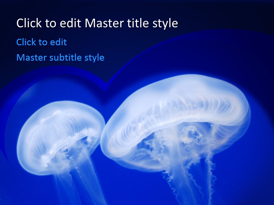 free-jellyfish-ppt-template